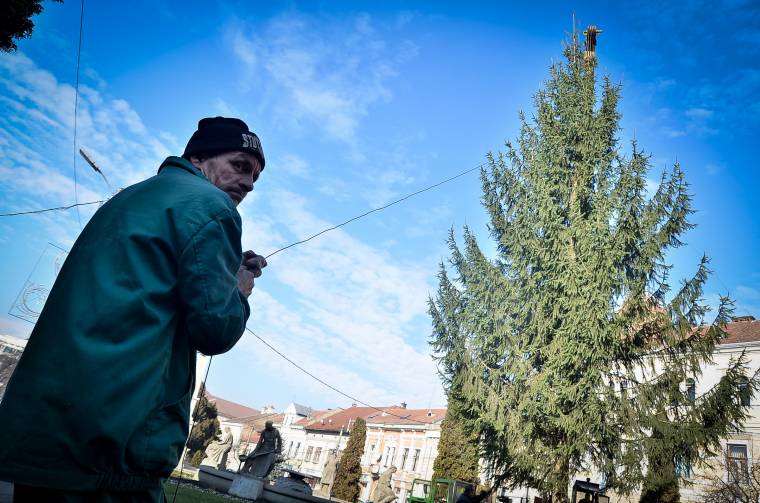 Új karácsonyfa a városközpontban