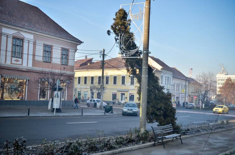 Személyautó döntött ki egy tuját Székelyudvarhely központjában