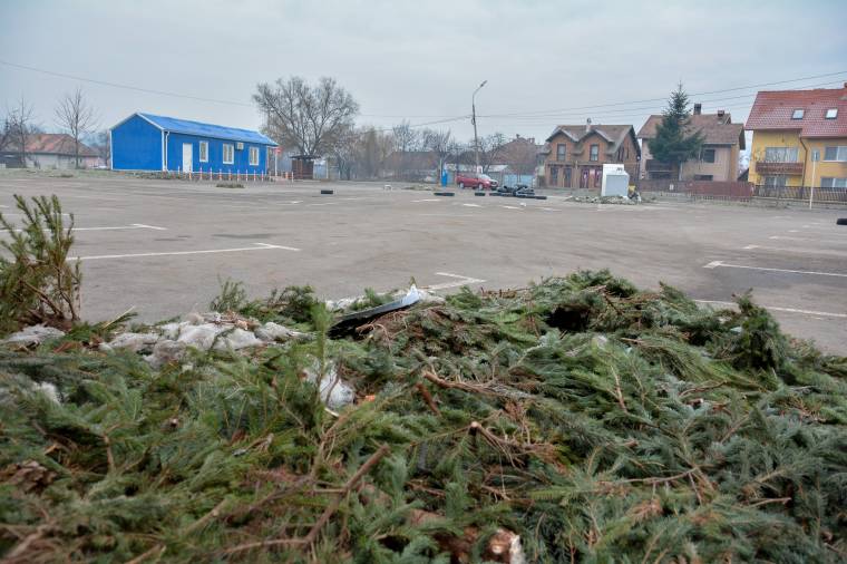 Fenyőfahulladékot hagytak maguk után a kereskedők