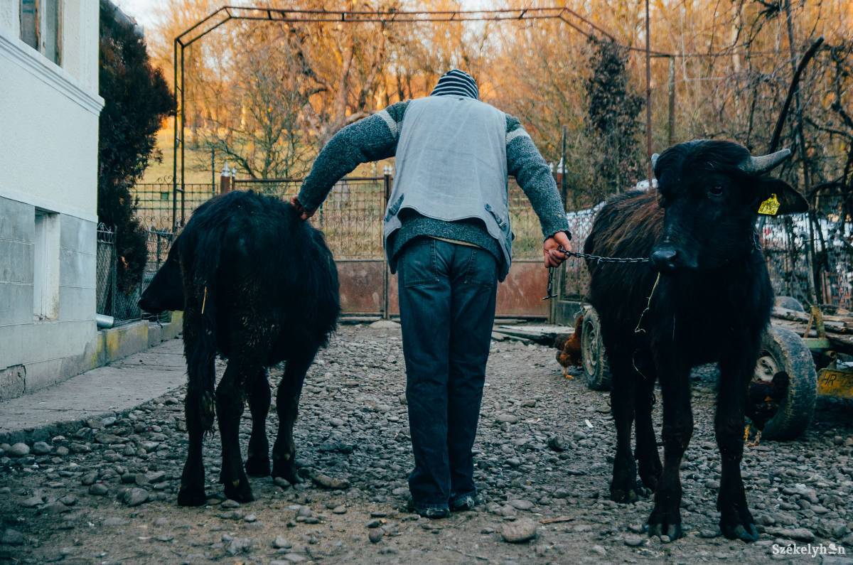 &bullet;  Fotó: Barabás Ákos