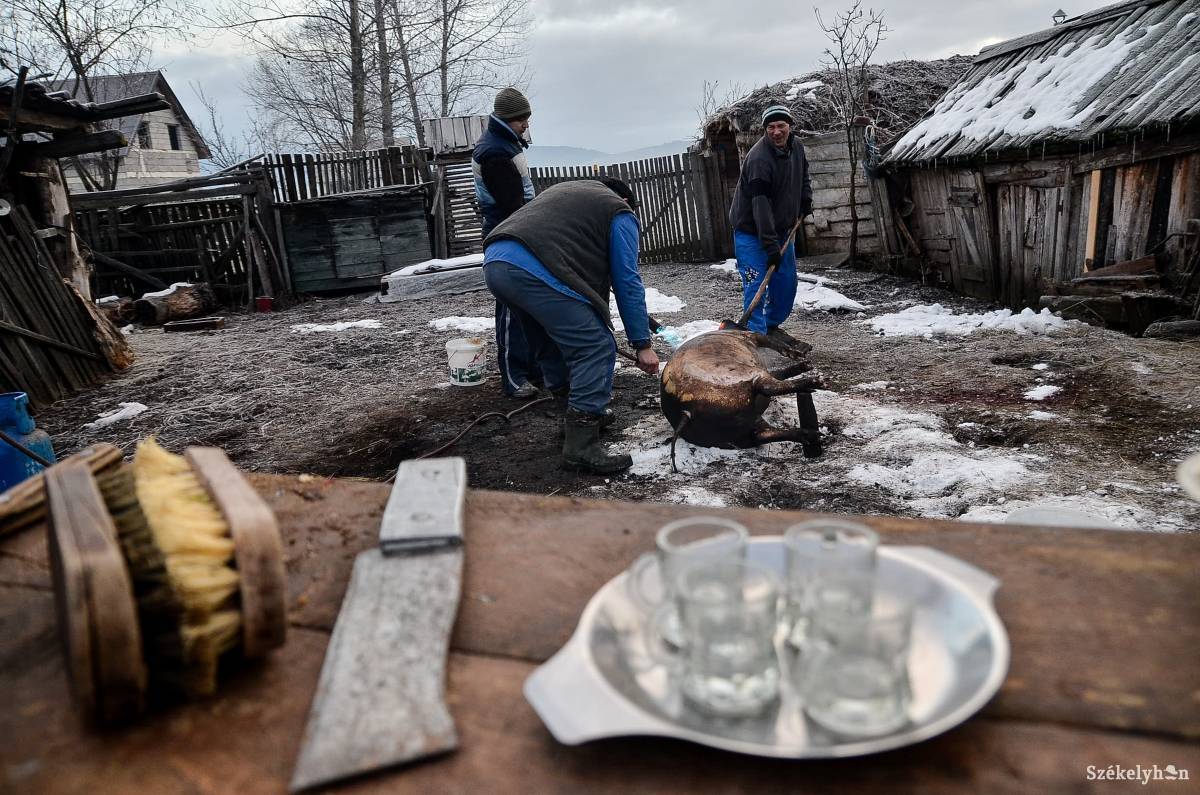 &bullet;  Fotó: Barabás Ákos