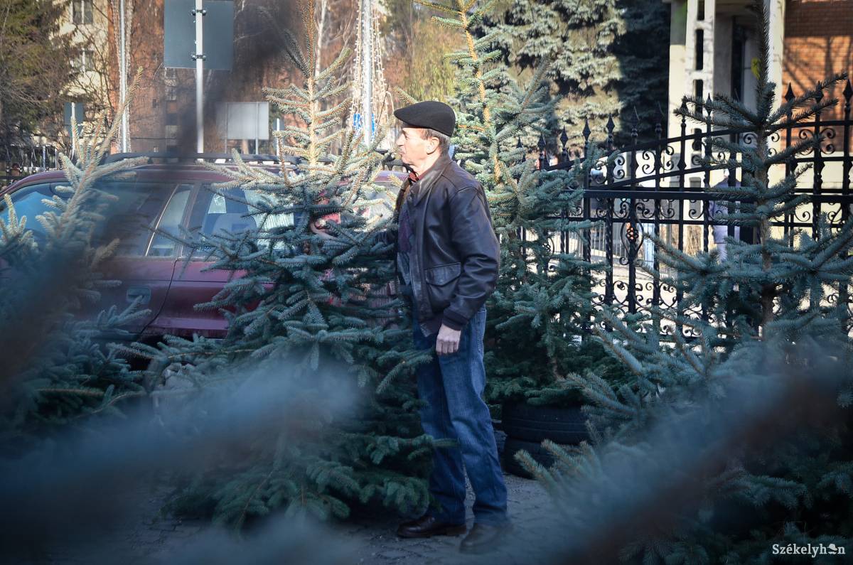 &bullet;  Fotó: Barabás Ákos