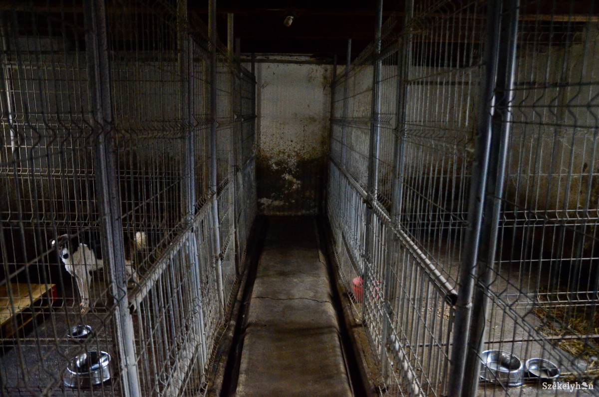 &bullet;  Fotó: Barabás Ákos