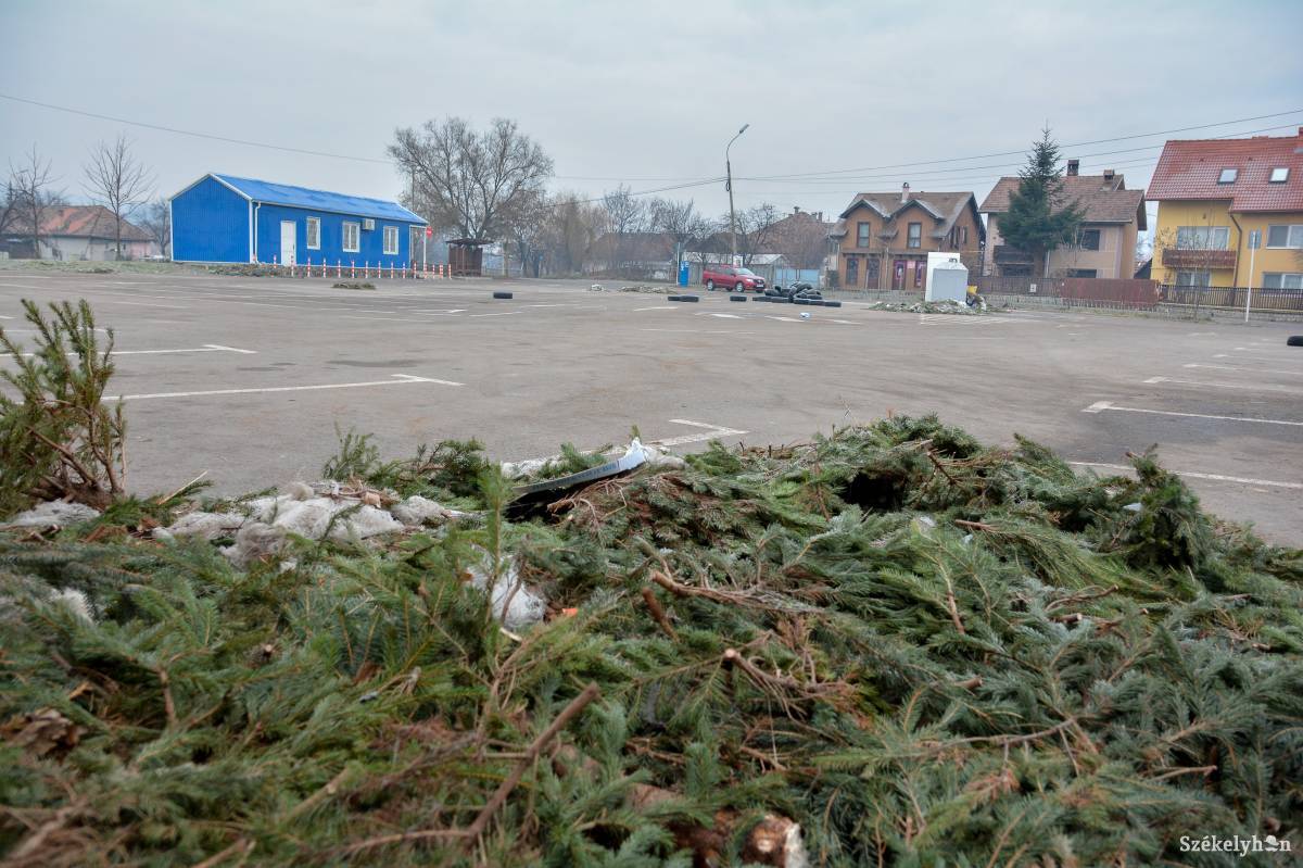 &bullet;  Fotó: Mihály Csaba