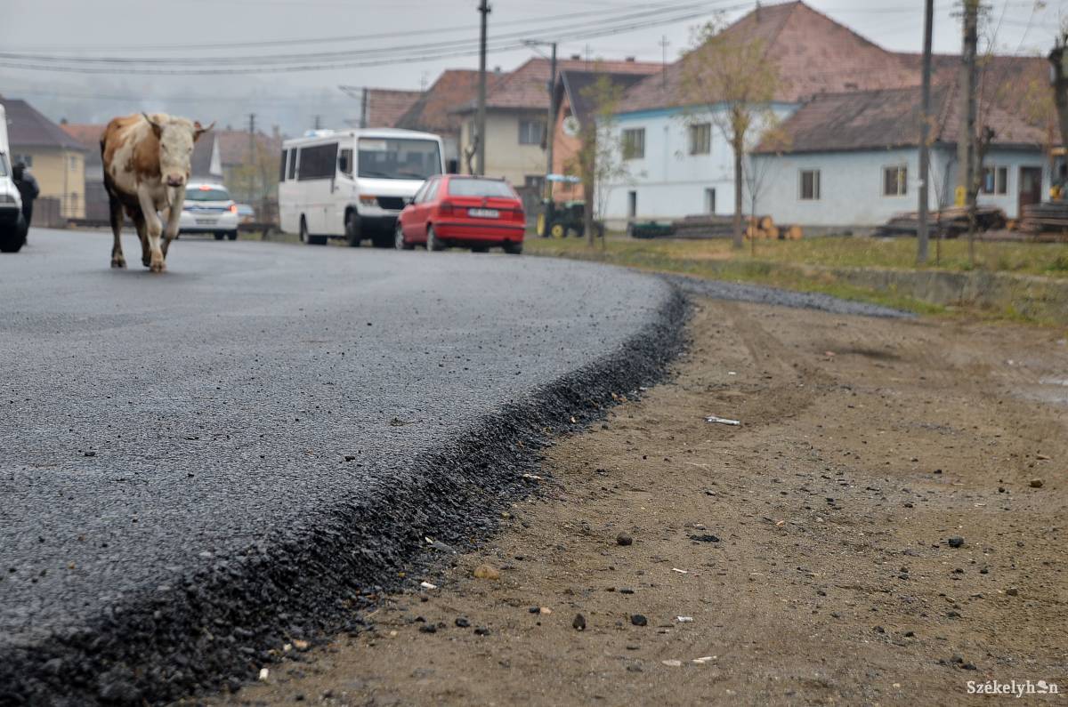 &bullet;  Fotó: Barabás Ákos