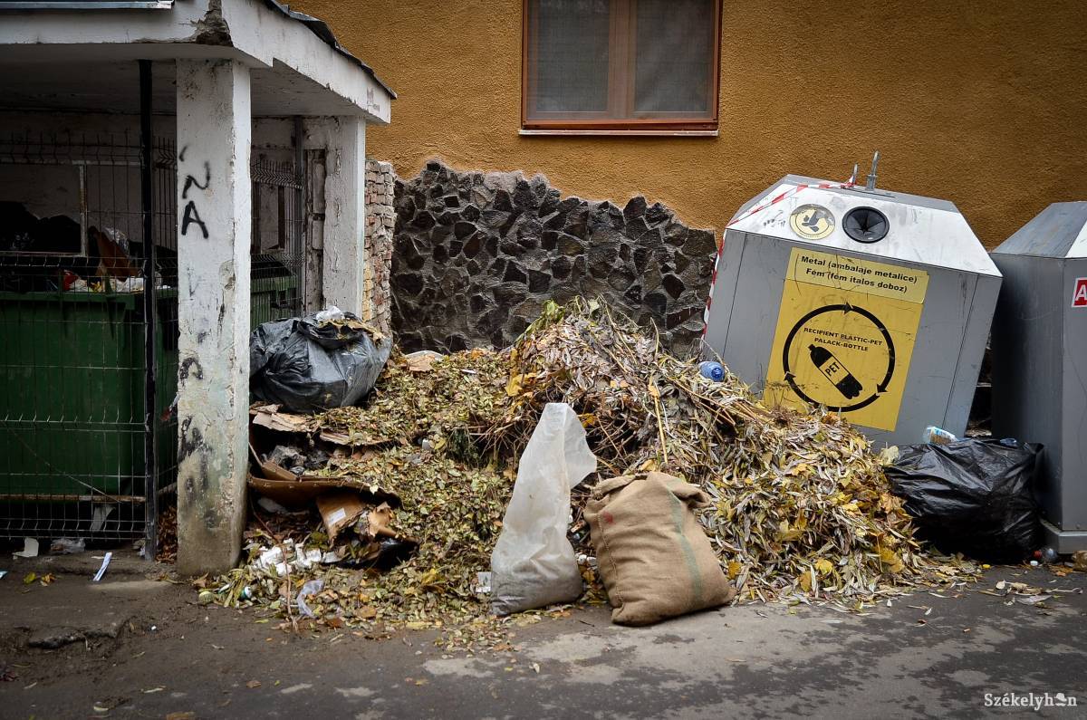 Újra és újragyűl. Mintha vonzaná a szemetet a hulladéklerakó széle. Archív •  Fotó: Barabás Ákos