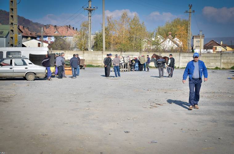Kongott az ürességtől az udvarhelyi állatpiac