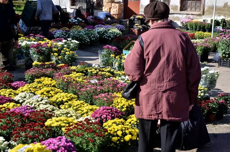 „Krizantémtenger” az udvarhelyi piacon