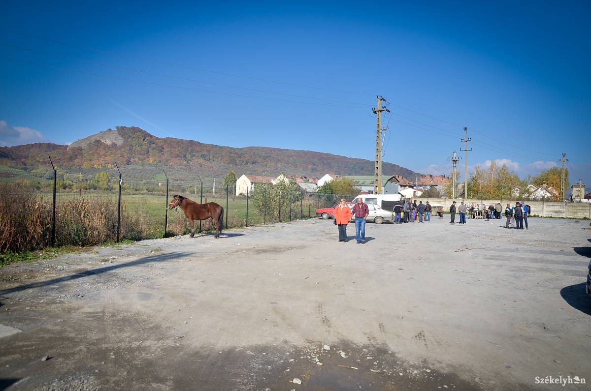 &bullet;  Fotó: Barabás Ákos