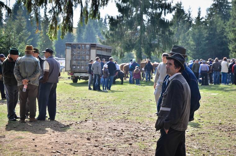 Ha ön gazdálkodik, akkor ezek az előadások érdekelni fogják