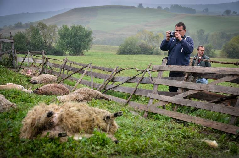 Segélyszolgálat a vadkárok ellen