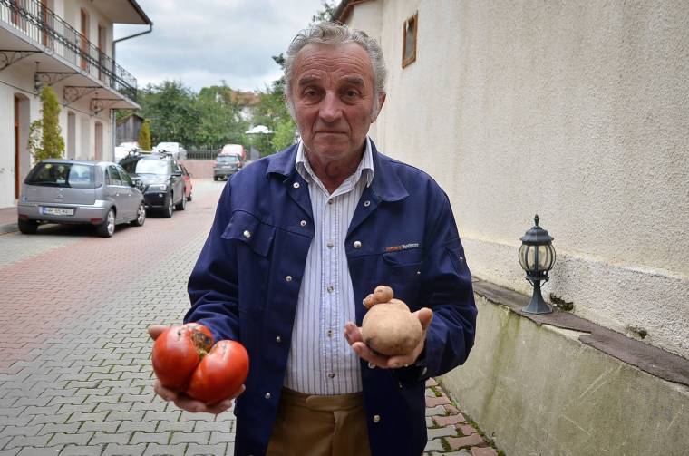 Óriászöldségek a Szent János utcában