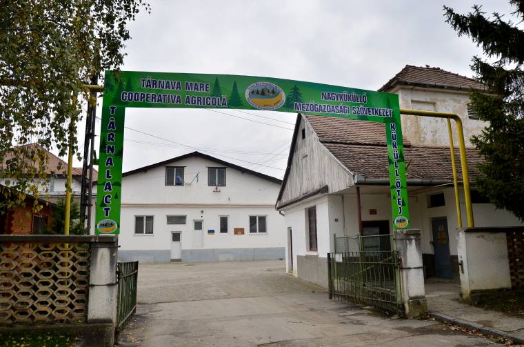 A válságkezelők szerint a tejgyár helyzete stabil