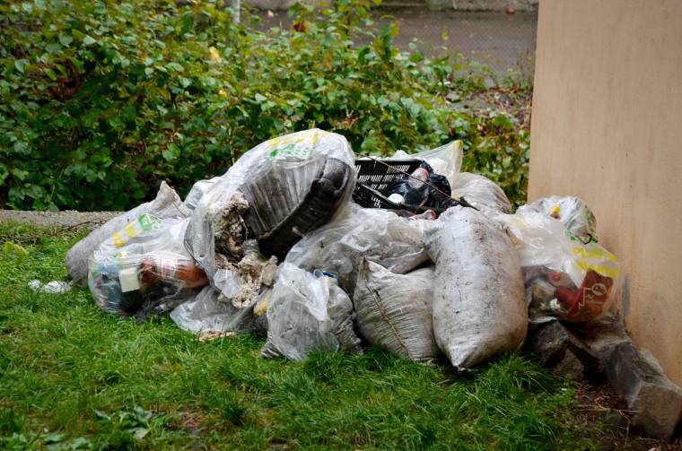 Diákok szedték össze a patakba dobott szemetet