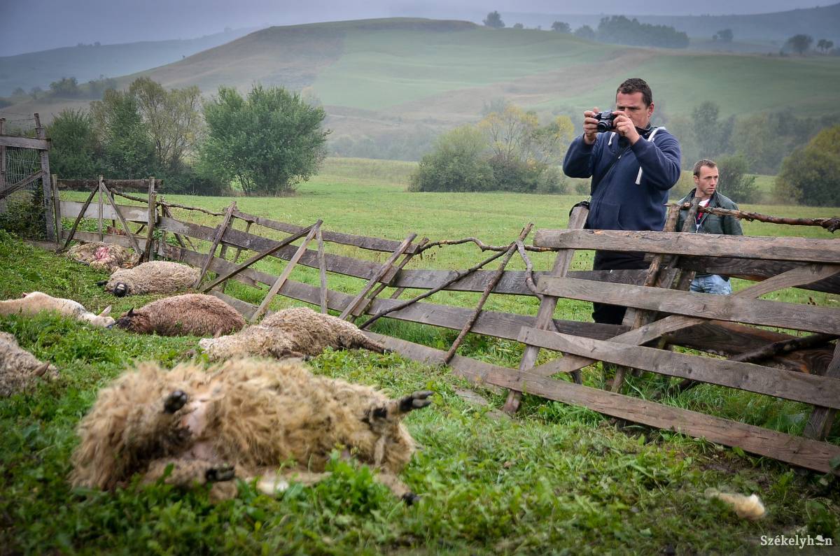 • Fotó: Barabás Ákos