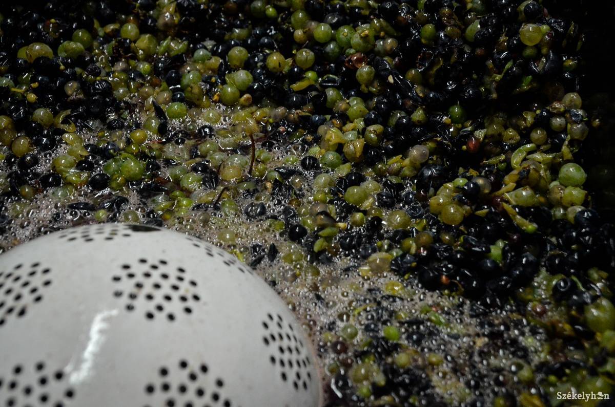 &bullet;  Fotó: Barabás Ákos