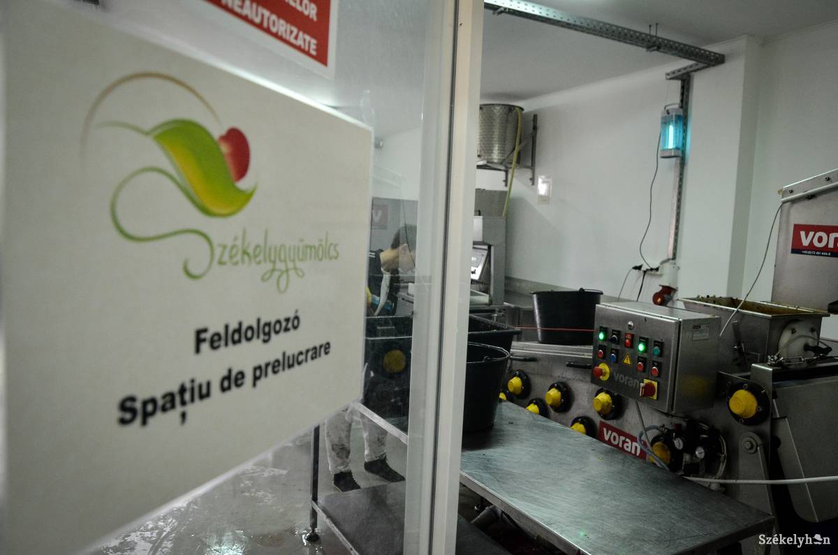 •  Fotó: Barabás Ákos