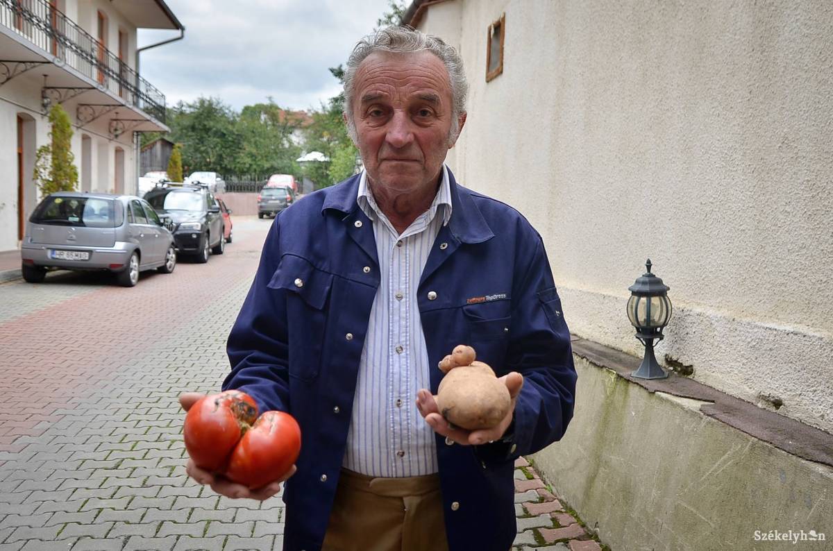 &bullet;  Fotó: Barabás Ákos