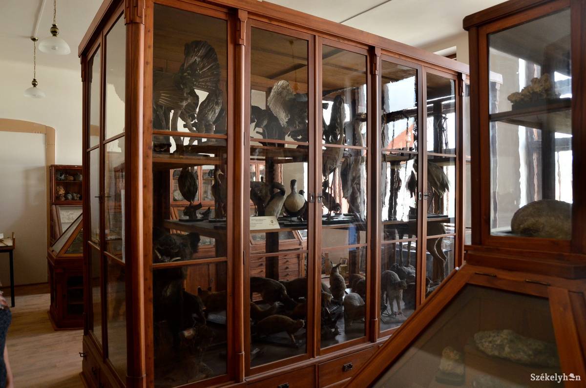 &bullet;  Fotó: Barabás Ákos