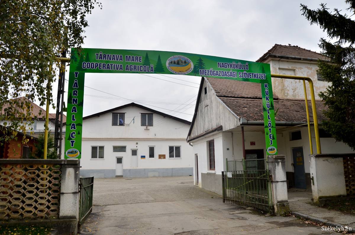 &bullet;  Fotó: Barabás Ákos