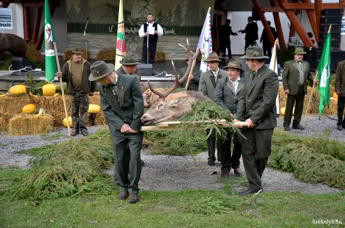 • Fotó: Barabás Ákos