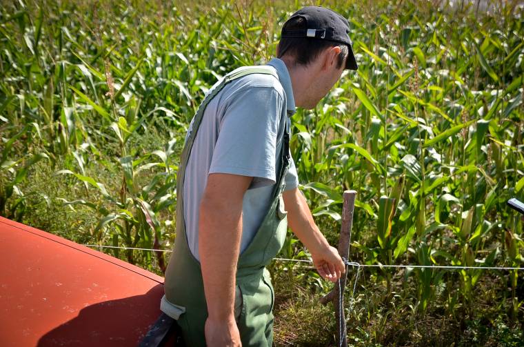 Villanypásztort tápláló akkumulátort loptak el