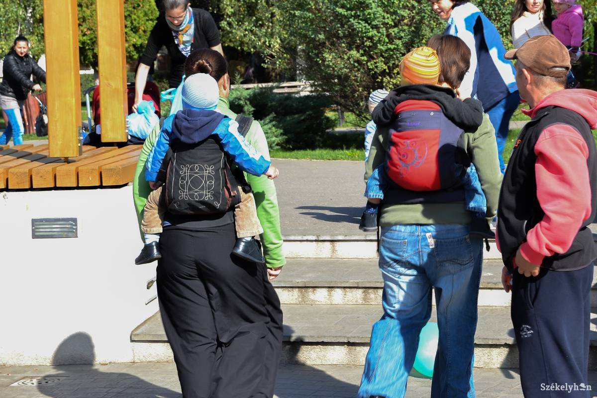 Illusztráció • Fotó: Mihály Csaba