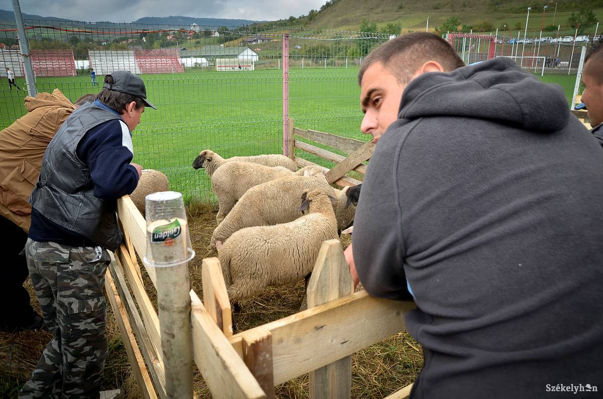 &bullet;  Fotó: Barabás Ákos