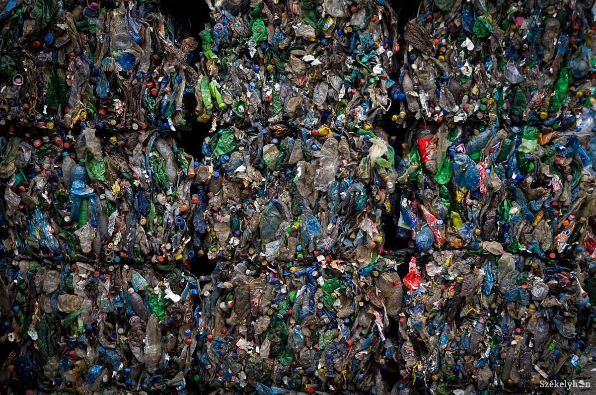 •  Fotó: Barabás Ákos