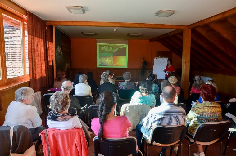 Gyógyír a léleknek