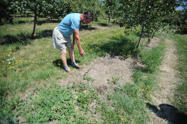 A szárazság miatt már a föld is megrepedt