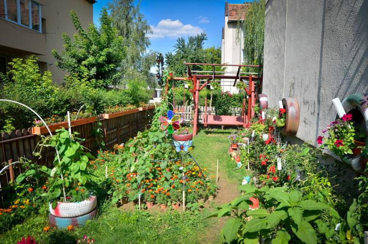 Panelek közötti oázis