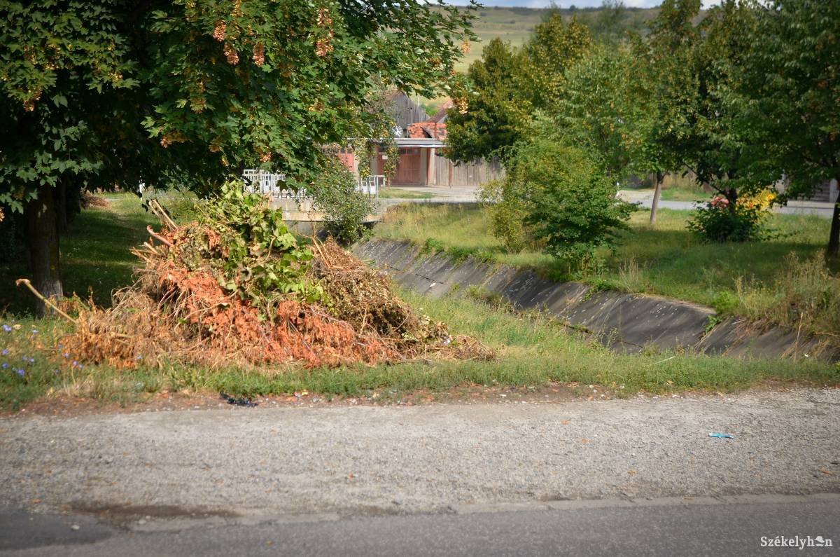 &bullet;  Fotó: Barabás Ákos