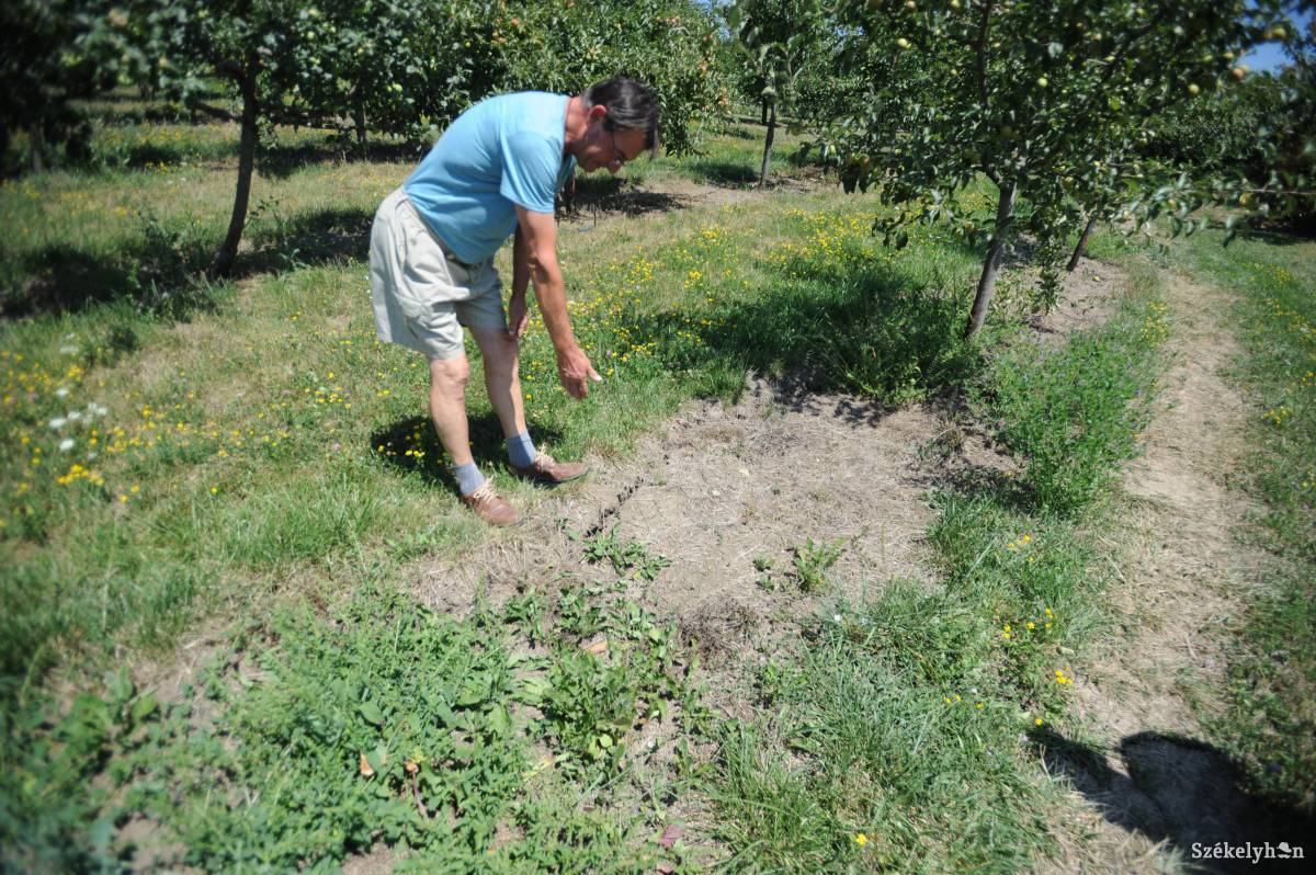 &bullet;  Fotó: Thomas Campean