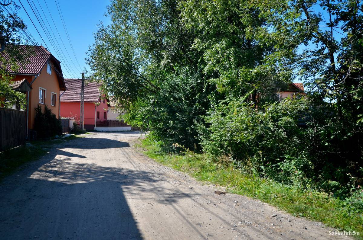 &bullet;  Fotó: Barabás Ákos