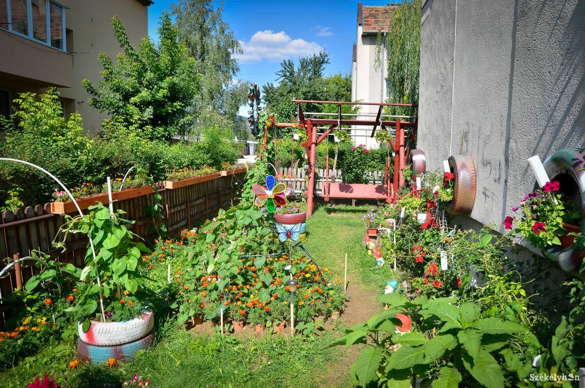 &bullet;  Fotó: Barabás Ákos