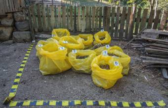 28 kilogramm kannabiszt, 5 kilogramm kokaint és 13 kilogramm egyéb drogot foglaltak le a rendőrök