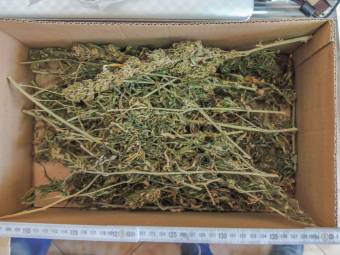 Tíz kiló kannabiszt, 2,6 kiló kokaint és közel 5 kiló egyéb kábítószert foglaltak le