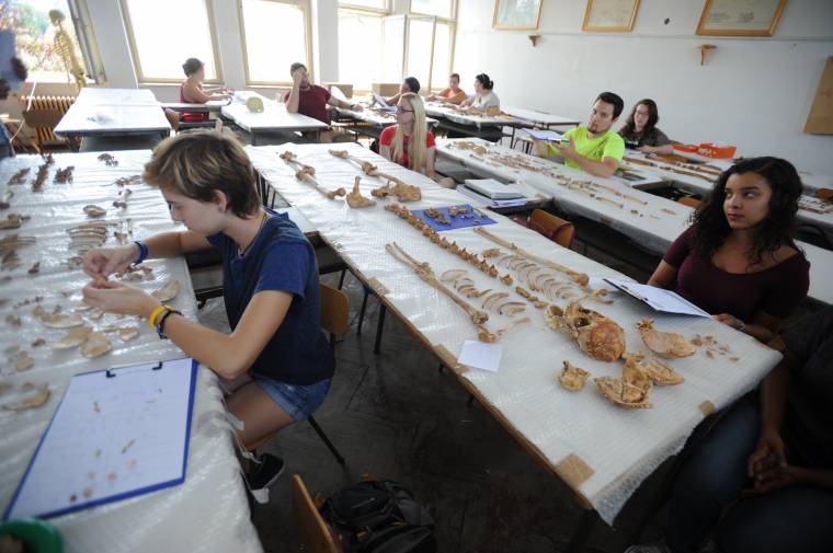 Patakfalván kutatnak a régészek