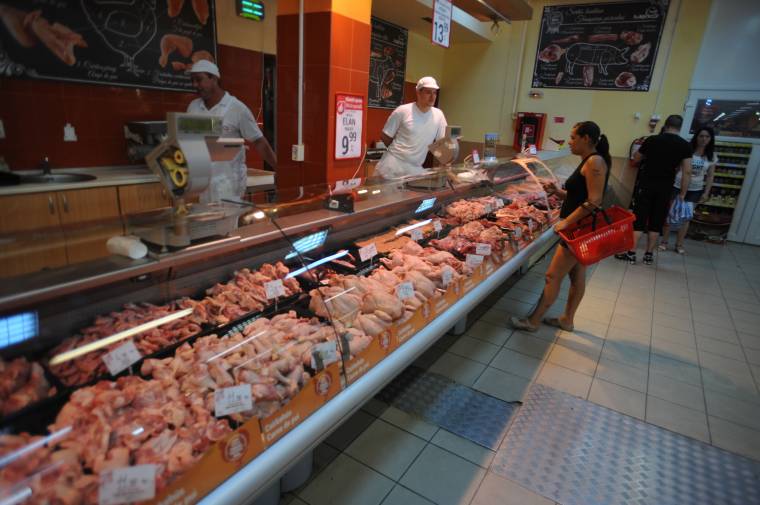 A törvény hazait kér