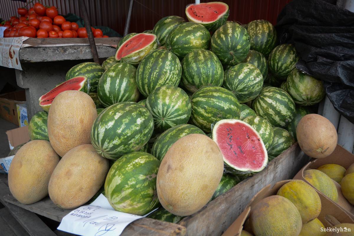 &bullet;  Fotó: Mihály Csaba