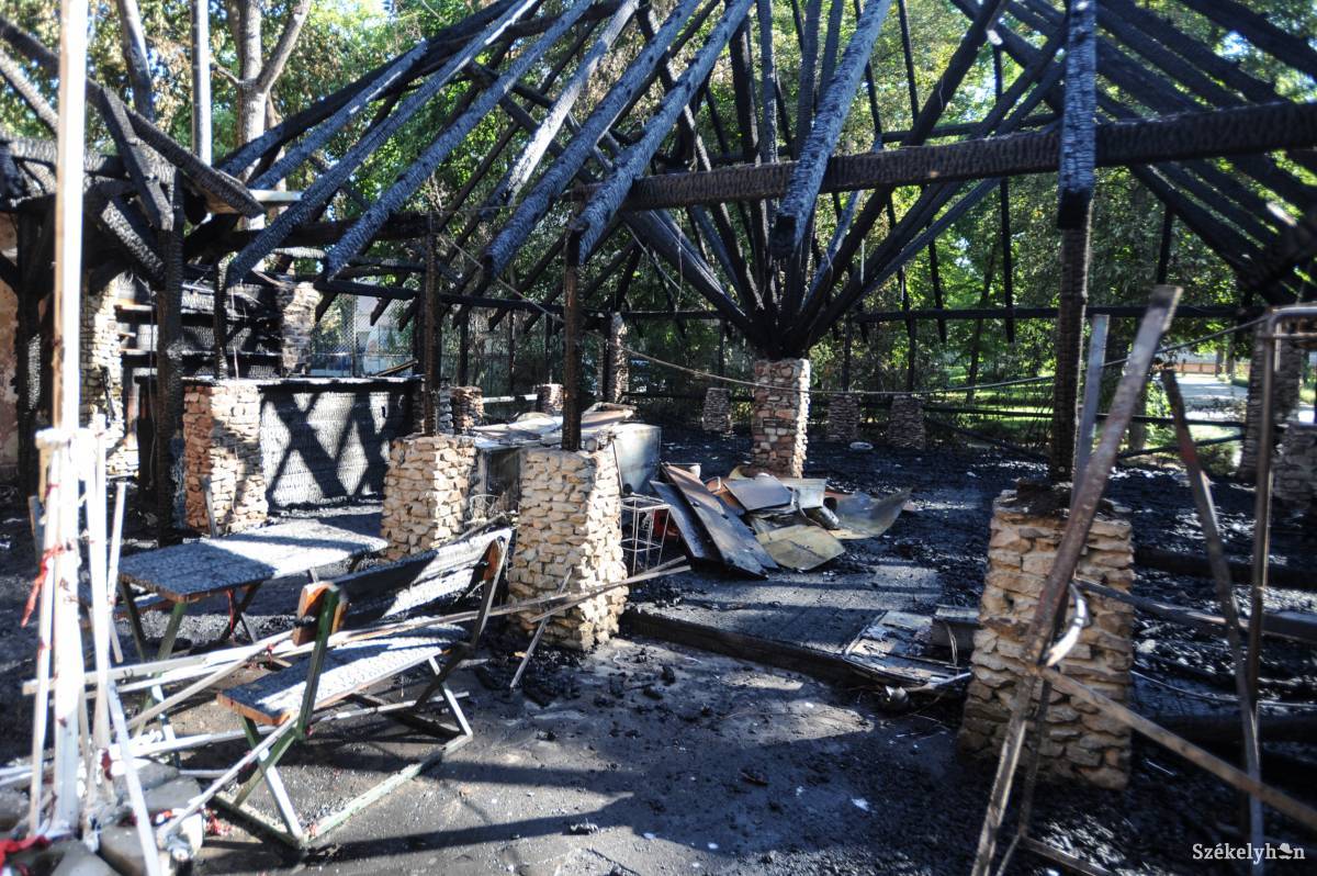 &bullet;  Fotó: Thomas Campean