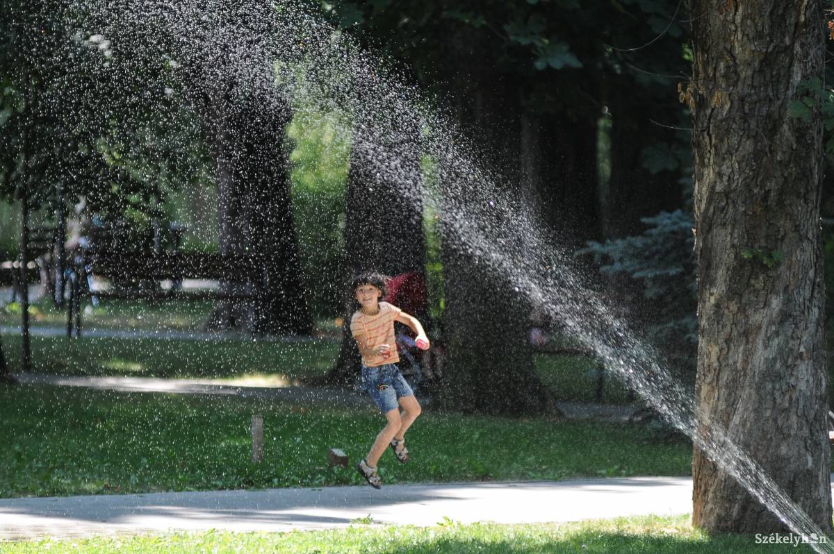 &bullet;  Fotó: Thomas Campean