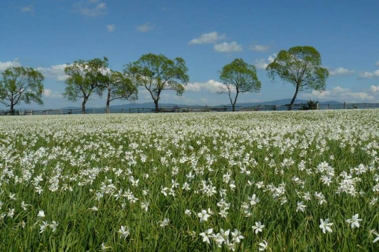 Látogatóközpontot terveznek a Nyulád-tetőre