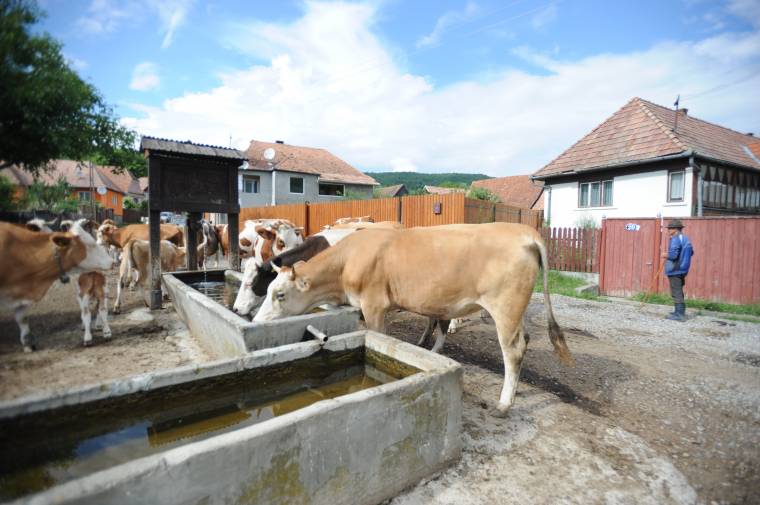 Várni kell még a „városi vízre” Árvátfalván