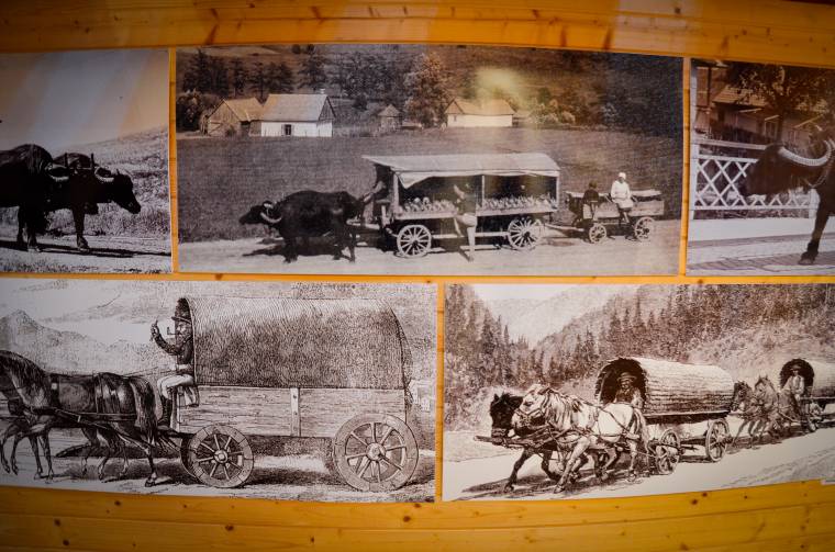 Újraindítanák az ásványvizes járatot a Szejkefürdőről