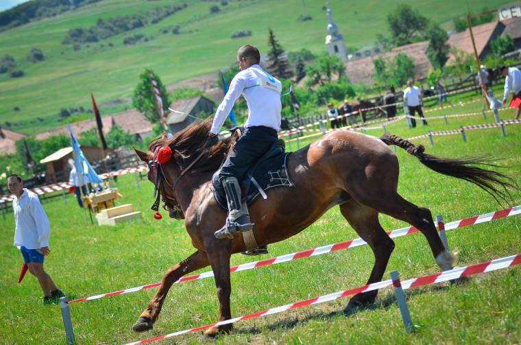 Újból versenybe szálltak a munkalovak