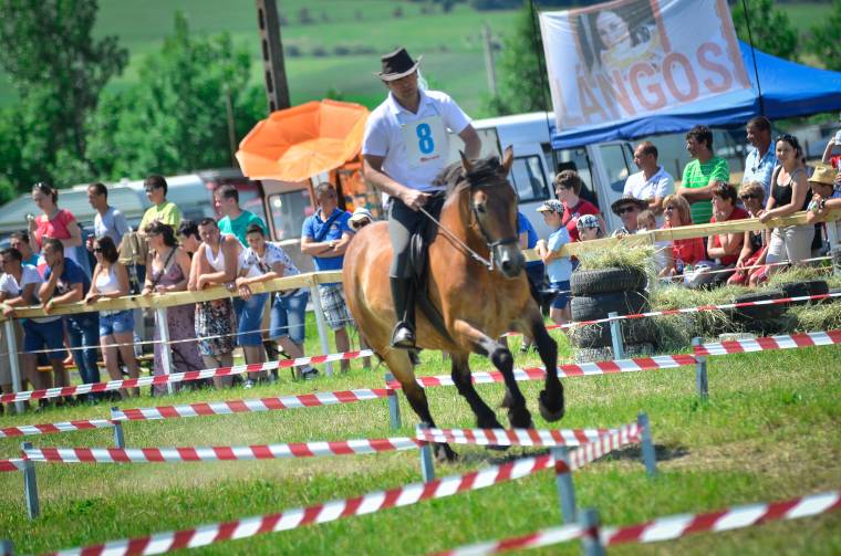 Zeteváralján vágtáznak vasárnap
