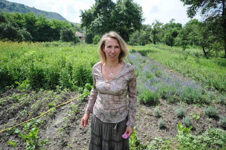 Meglelni fűben, fában az orvosságot