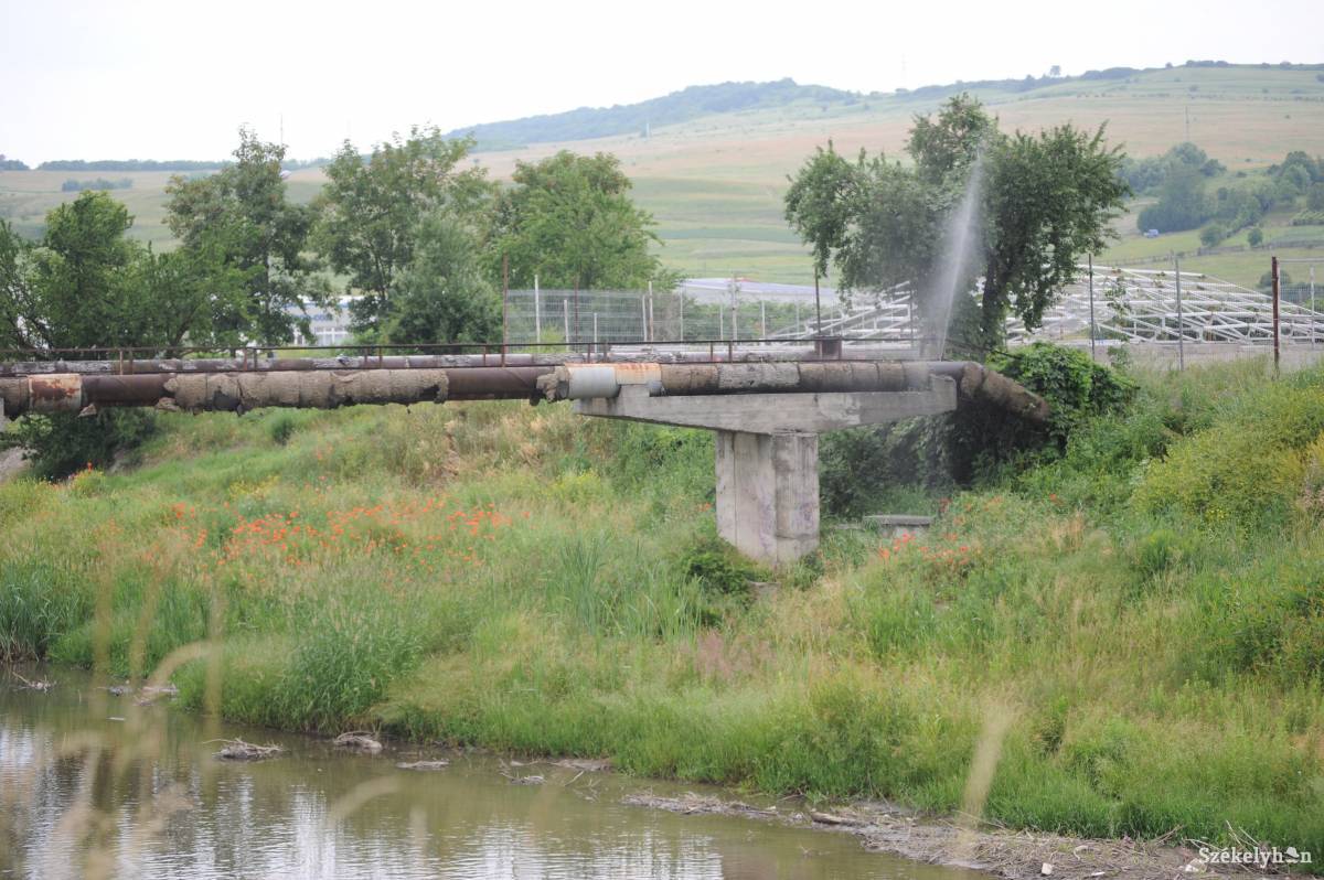 &bullet;  Fotó: Thomas Campean